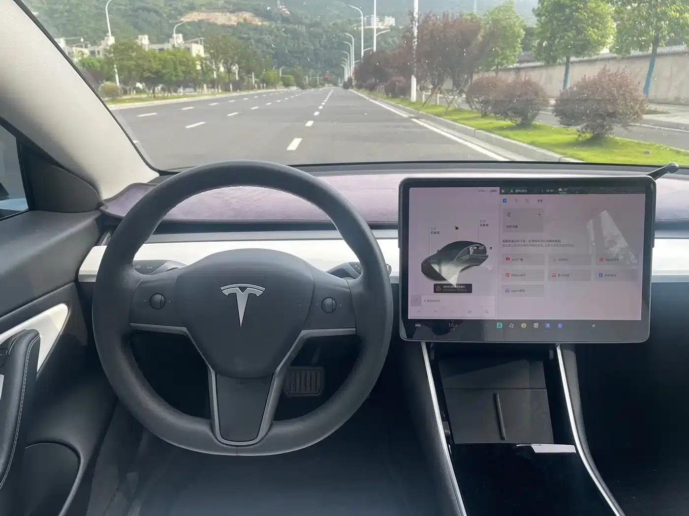 Model 3 2020 Standard Range Rear-Wheel Drive Upgrade — миниатюра 10