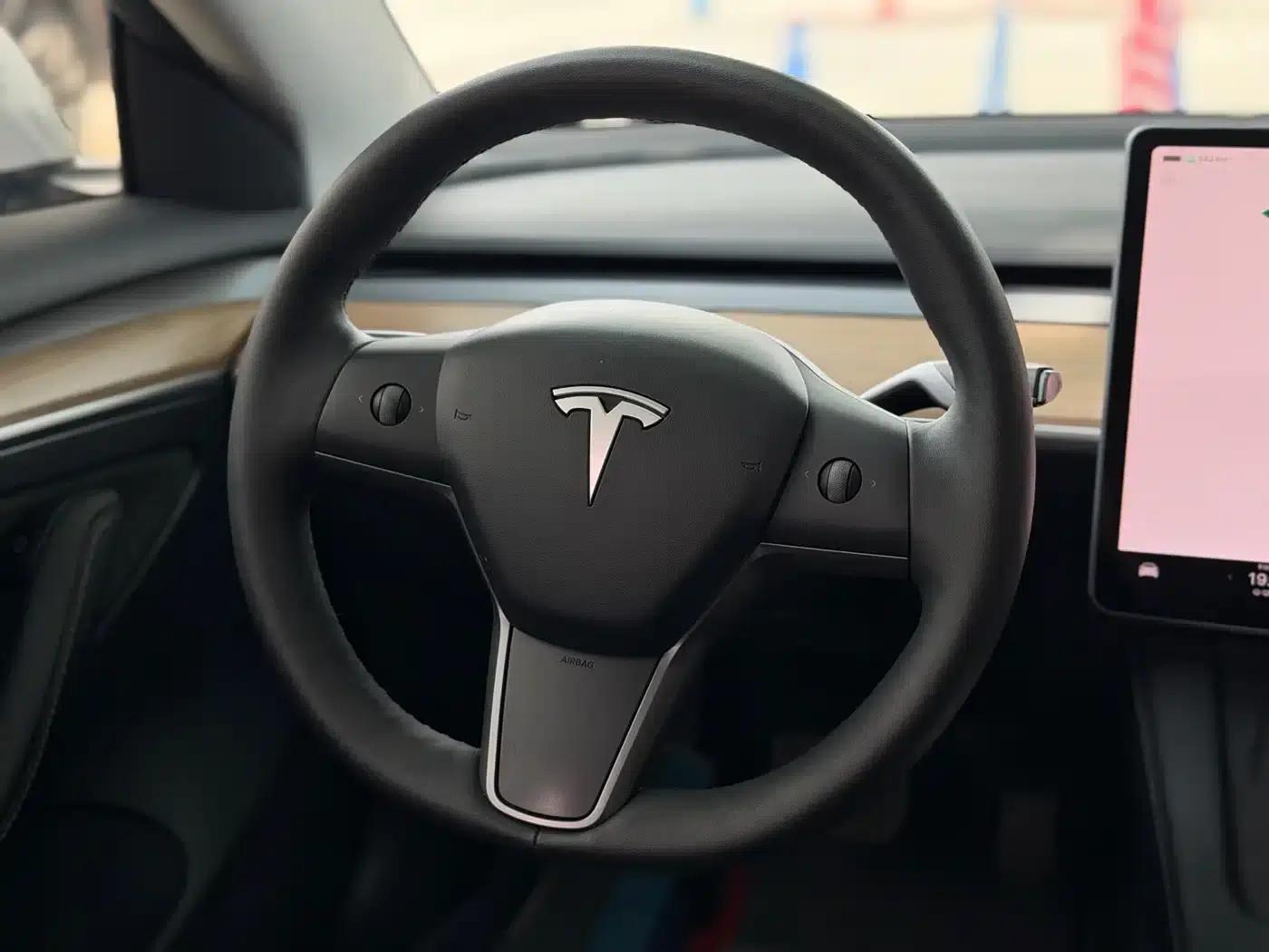 Model 3 2022 Rear-Wheel Drive — миниатюра 12