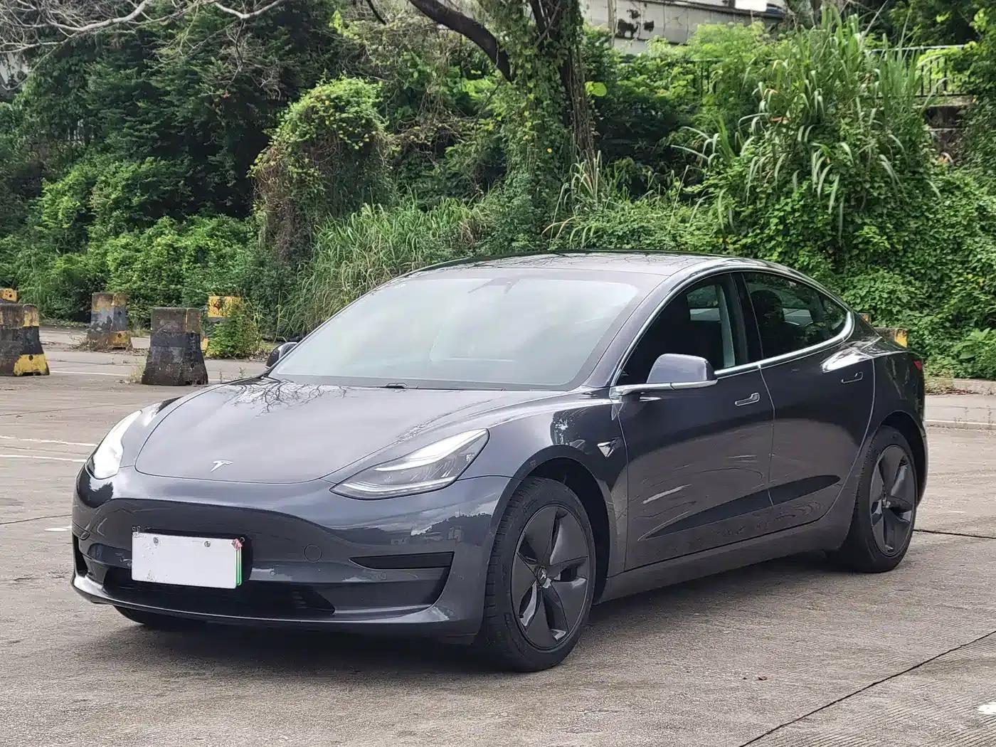 Model 3 2019 Standard Range Rear-Wheel Drive Upgrade — миниатюра 1