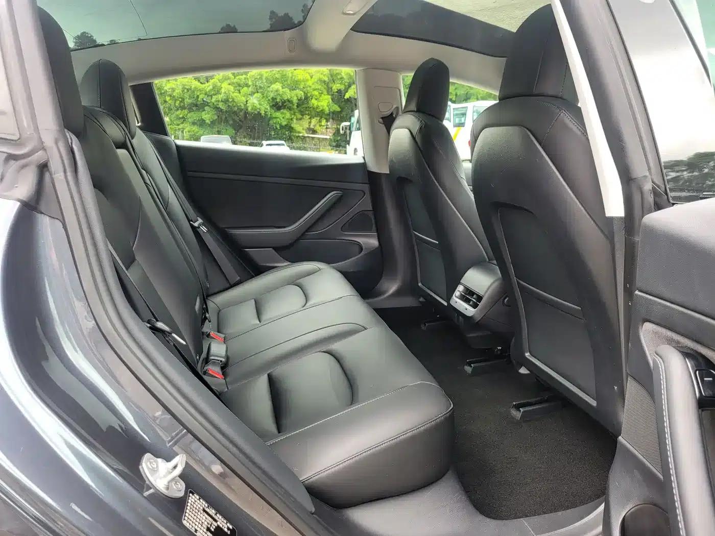 Model 3 2019 Standard Range Rear-Wheel Drive Upgrade — миниатюра 12