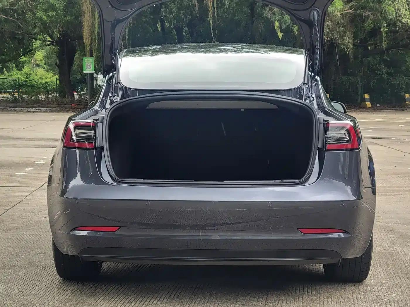 Model 3 2019 Standard Range Rear-Wheel Drive Upgrade — миниатюра 18