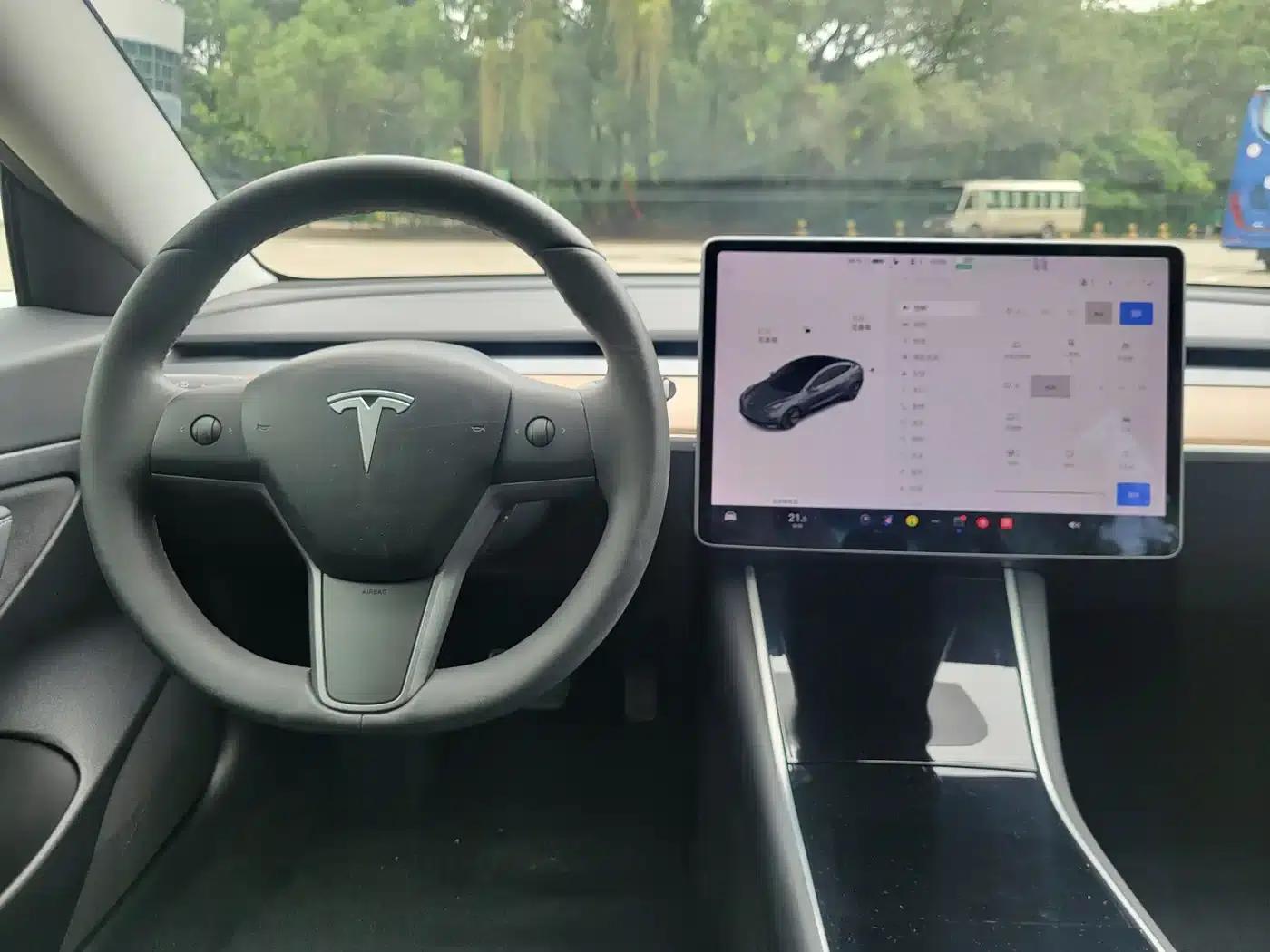 Model 3 2019 Standard Range Rear-Wheel Drive Upgrade — миниатюра 21