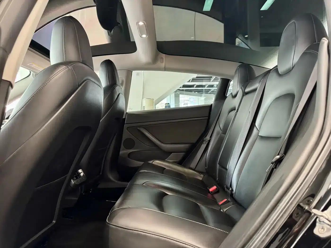Model 3 2021 Standard Range Rear-Wheel Drive Upgrade — миниатюра 6