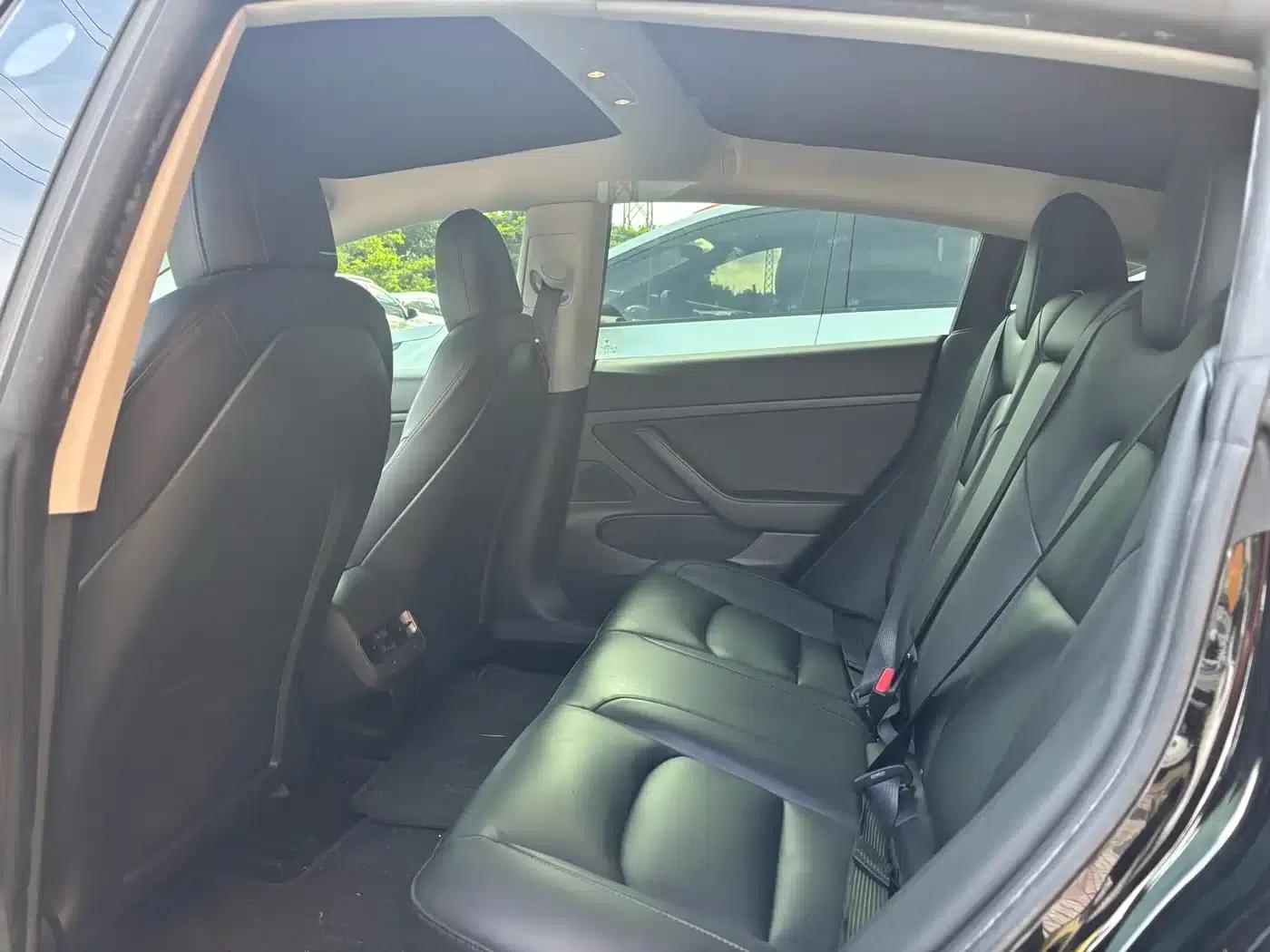Model 3 2020 Standard Range Rear-Wheel Drive Upgrade — миниатюра 8