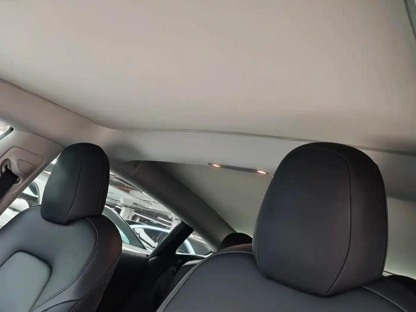 Model 3 2021 Standard Range Rear-Wheel Drive Upgrade — миниатюра 13