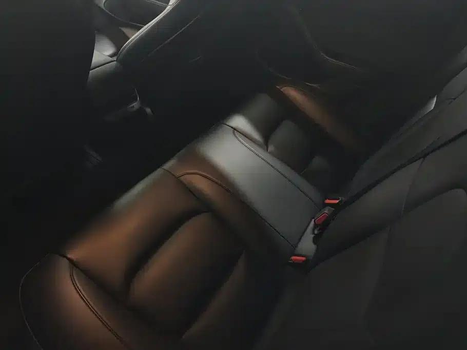 Model 3 2020 Standard Range Rear-Wheel Drive Upgrade — миниатюра 11
