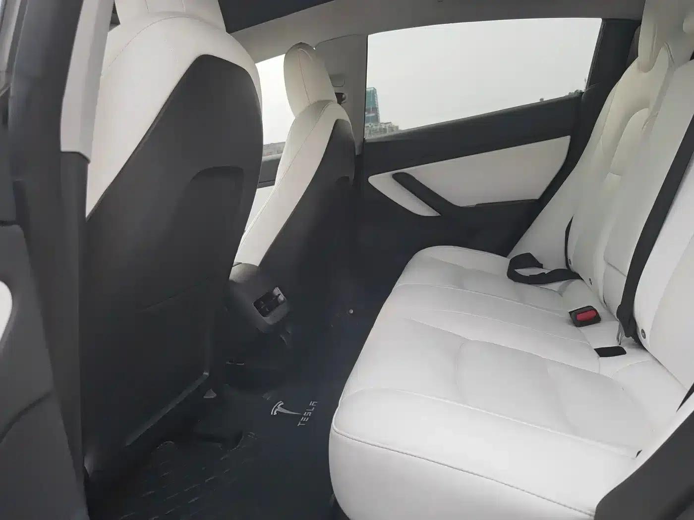 Model 3 2020 Standard Range Rear-Wheel Drive Upgrade — миниатюра 14