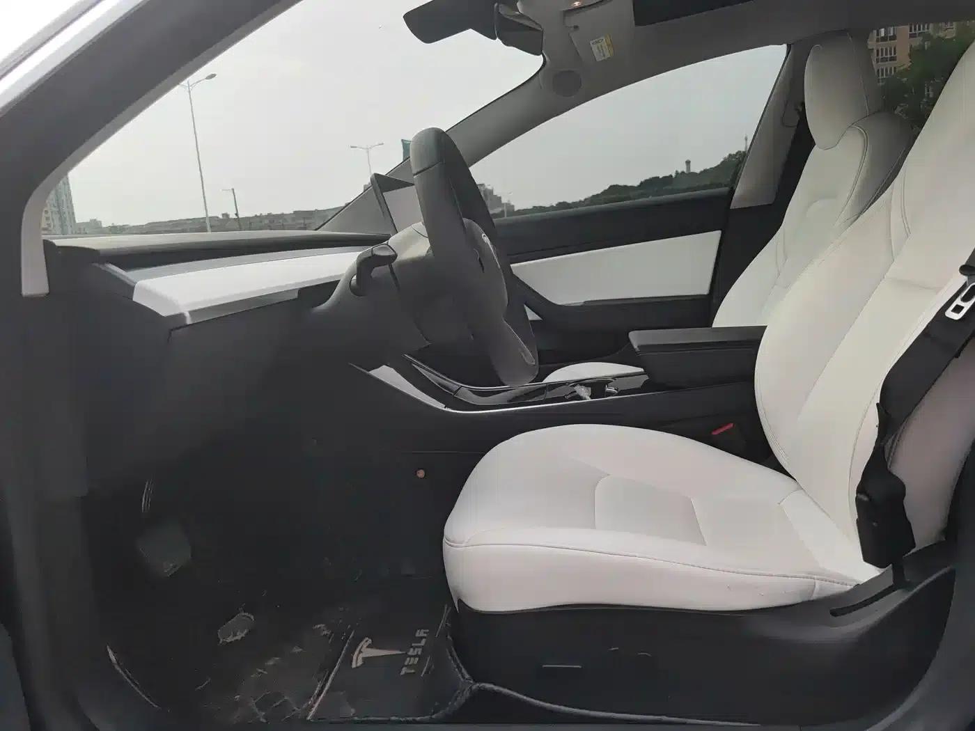 Model 3 2020 Standard Range Rear-Wheel Drive Upgrade — миниатюра 15