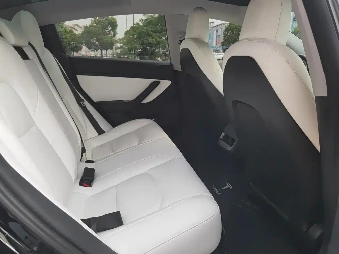 Model 3 2020 Standard Range Rear-Wheel Drive Upgrade — миниатюра 9