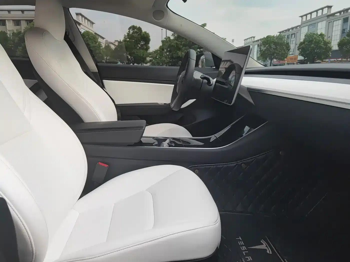 Model 3 2020 Standard Range Rear-Wheel Drive Upgrade — миниатюра 10