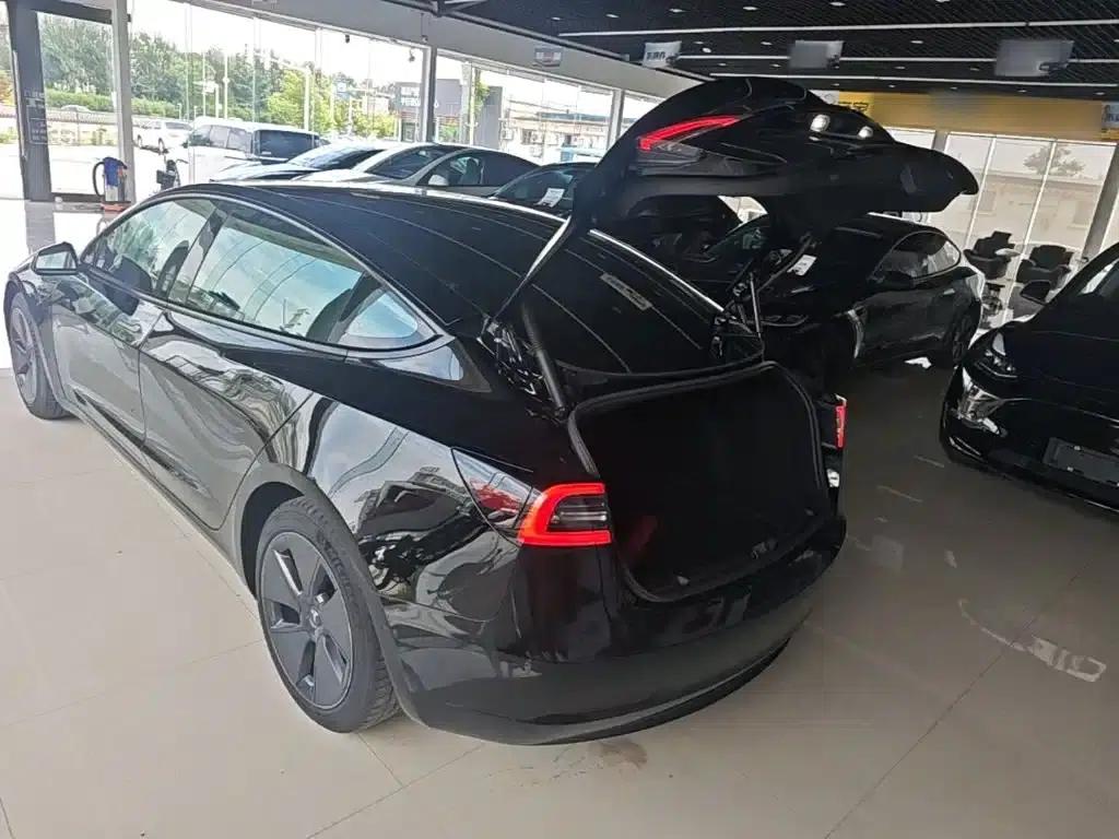 Model 3 2021 Standard Range Rear-Wheel Drive Upgrade — миниатюра 19