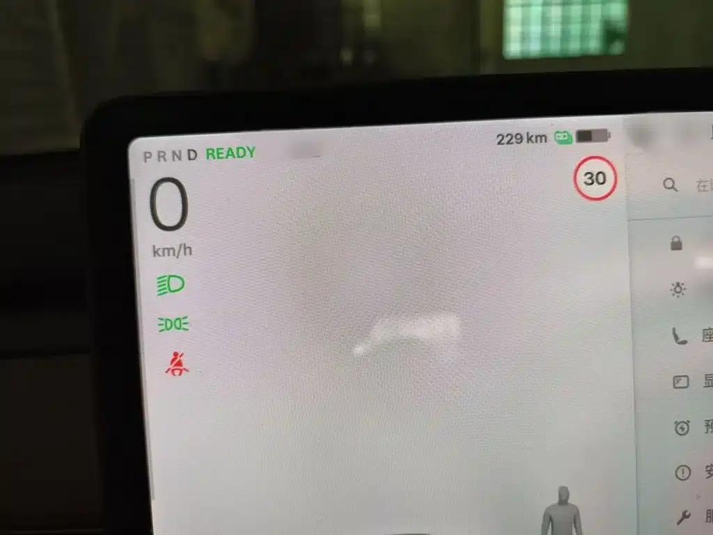 Model 3 2021 Performance All-Wheel Drive 3D6 — миниатюра 4