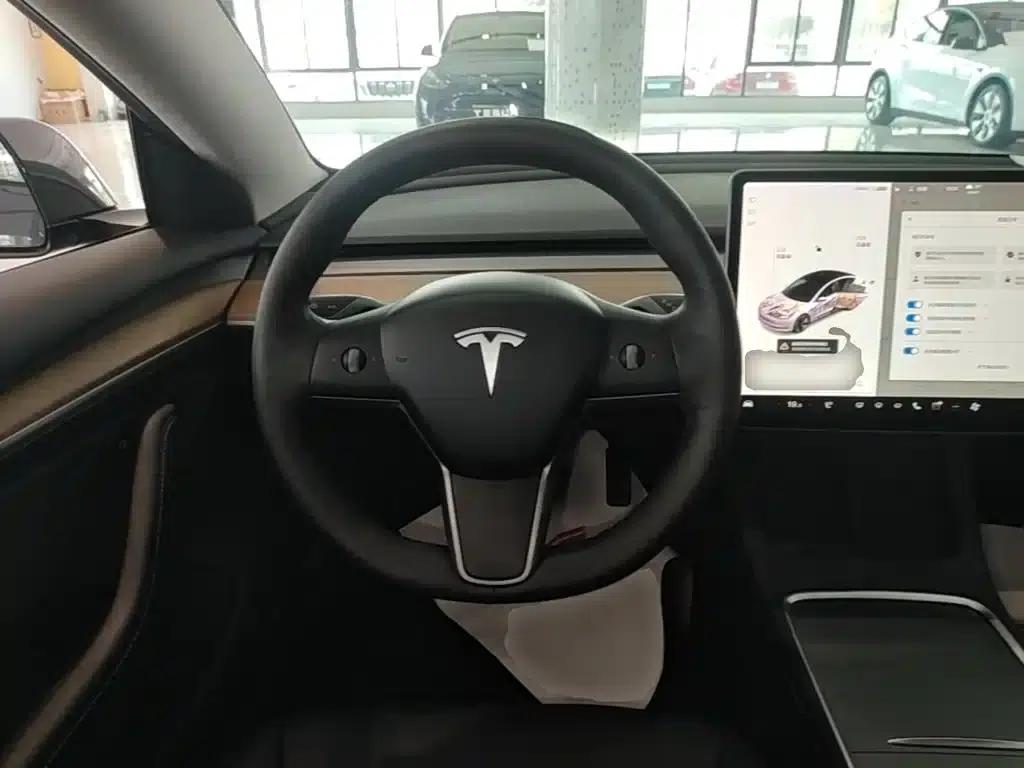 Model 3 2020 Facelift Standard Range Rear-Wheel Drive Upgrade — миниатюра 11