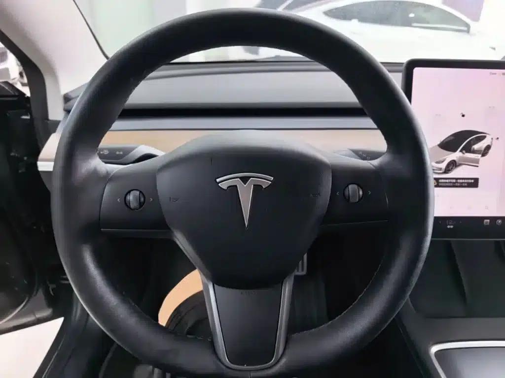 Model 3 2021 Performance All-Wheel Drive — миниатюра 11