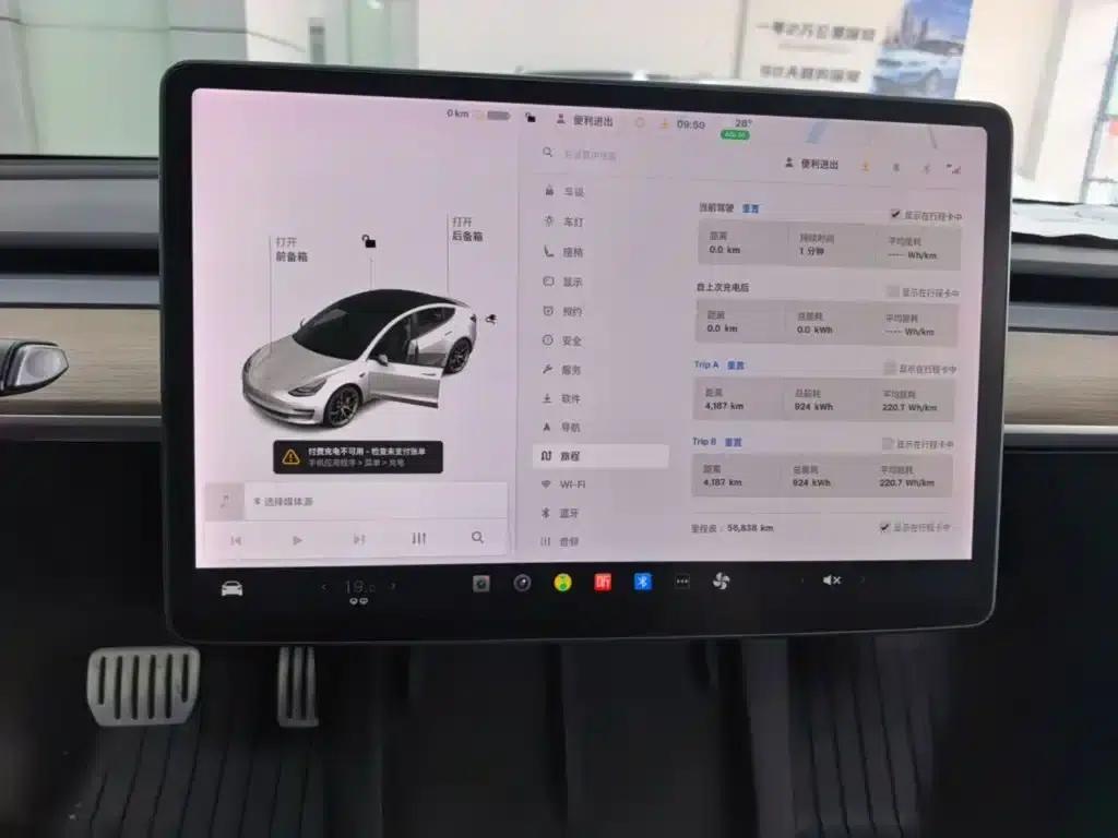 Model 3 2021 Performance All-Wheel Drive — миниатюра 12
