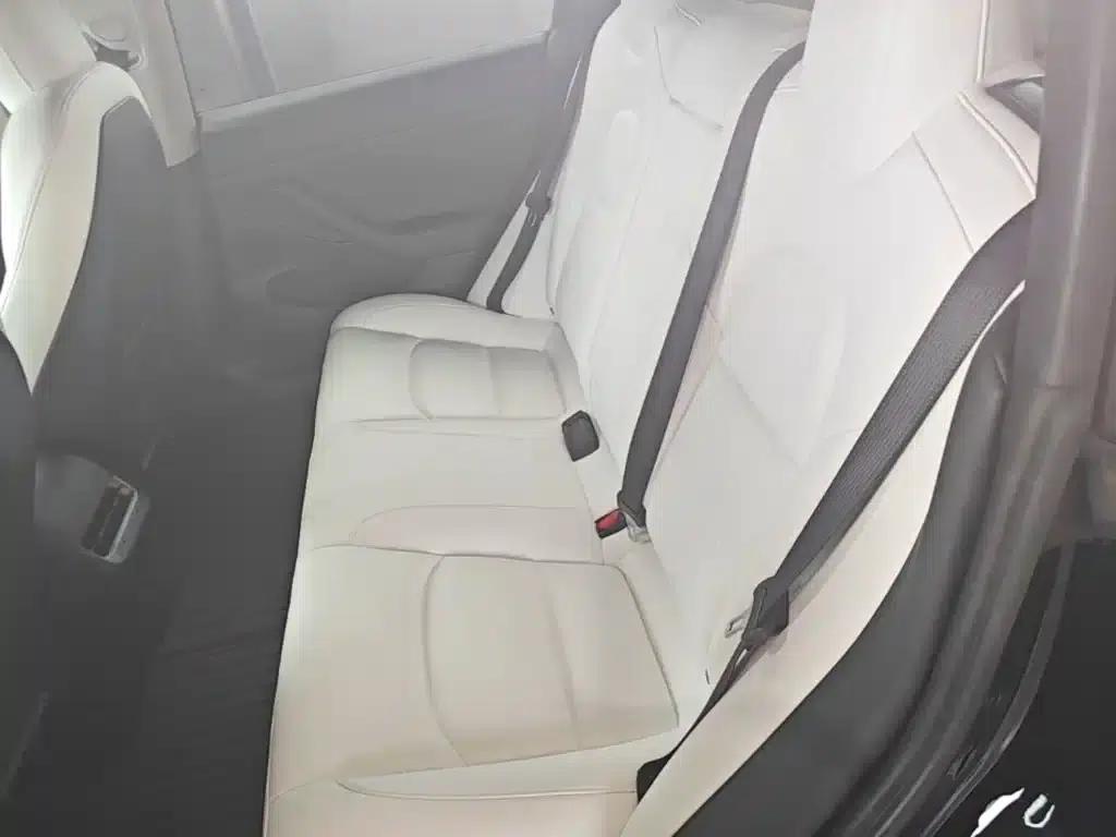 Model 3 2021 Standard Range Rear-Wheel Drive Upgrade — миниатюра 17