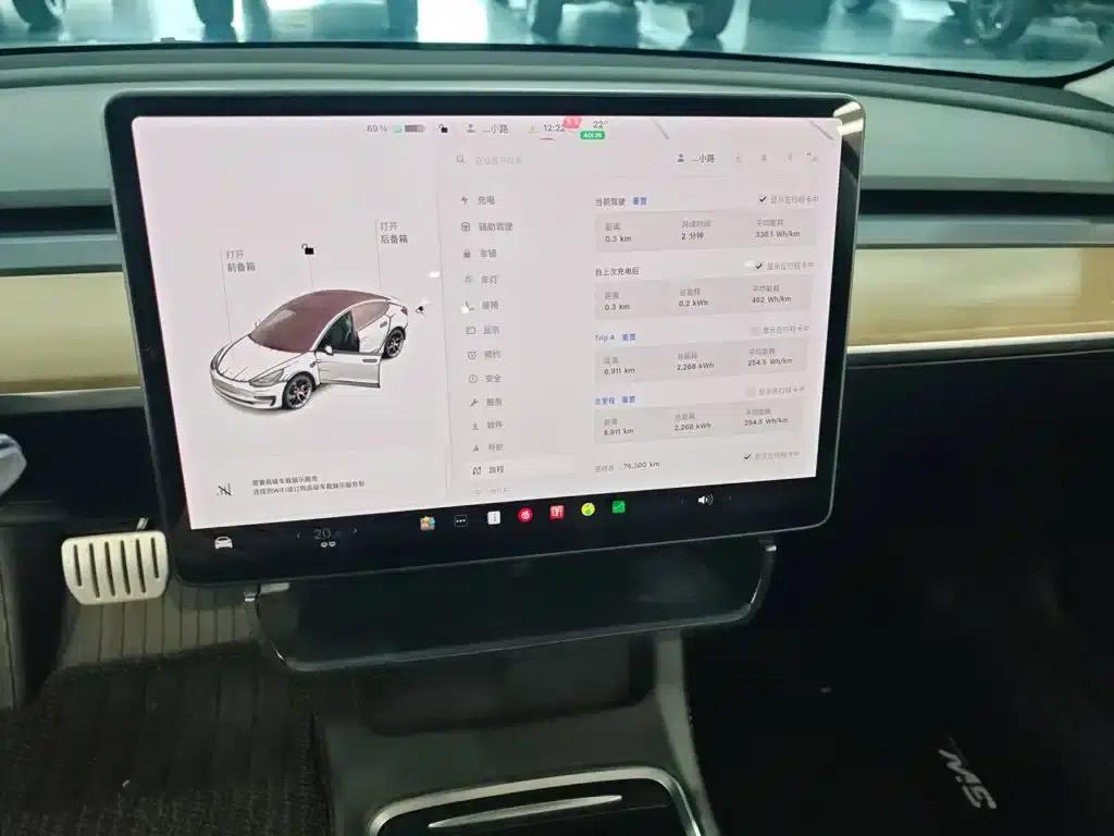 Model 3 2021 Performance All-Wheel Drive — миниатюра 9