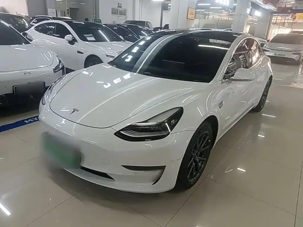 Model 3 2020 Facelift Long Range Rear-Wheel Drive — миниатюра 1