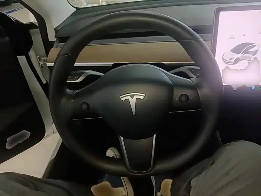 Model 3 2020 Facelift Long Range Rear-Wheel Drive — миниатюра 11