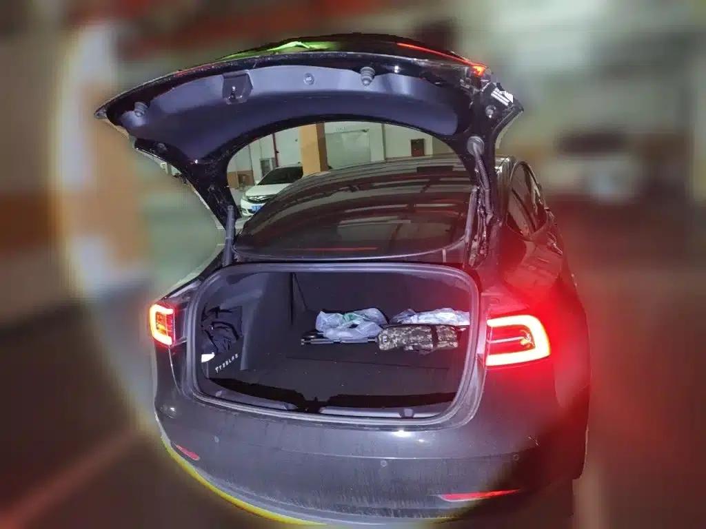 Model 3 2021 Standard Range Rear-Wheel Drive Upgrade — миниатюра 10