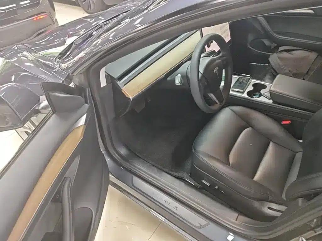 Model 3 2021 Standard Range Rear-Wheel Drive Upgrade 3D6 — миниатюра 16
