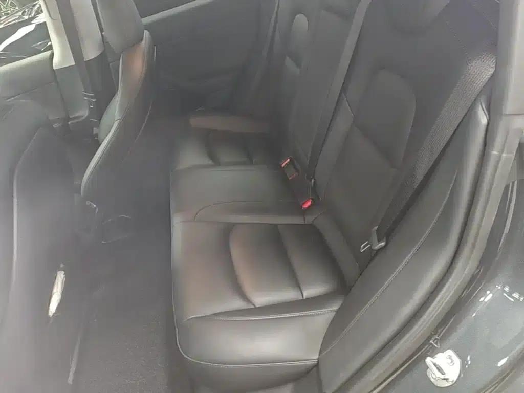 Model 3 2021 Standard Range Rear-Wheel Drive Upgrade 3D6 — миниатюра 17