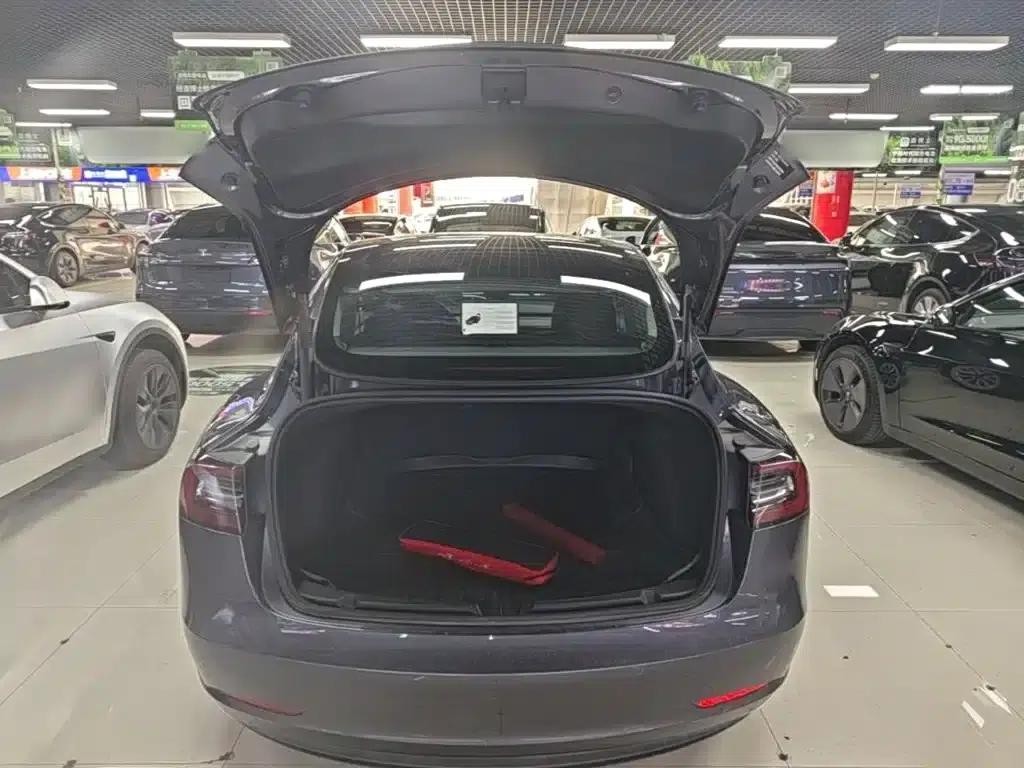Model 3 2021 Standard Range Rear-Wheel Drive Upgrade 3D6 — миниатюра 19