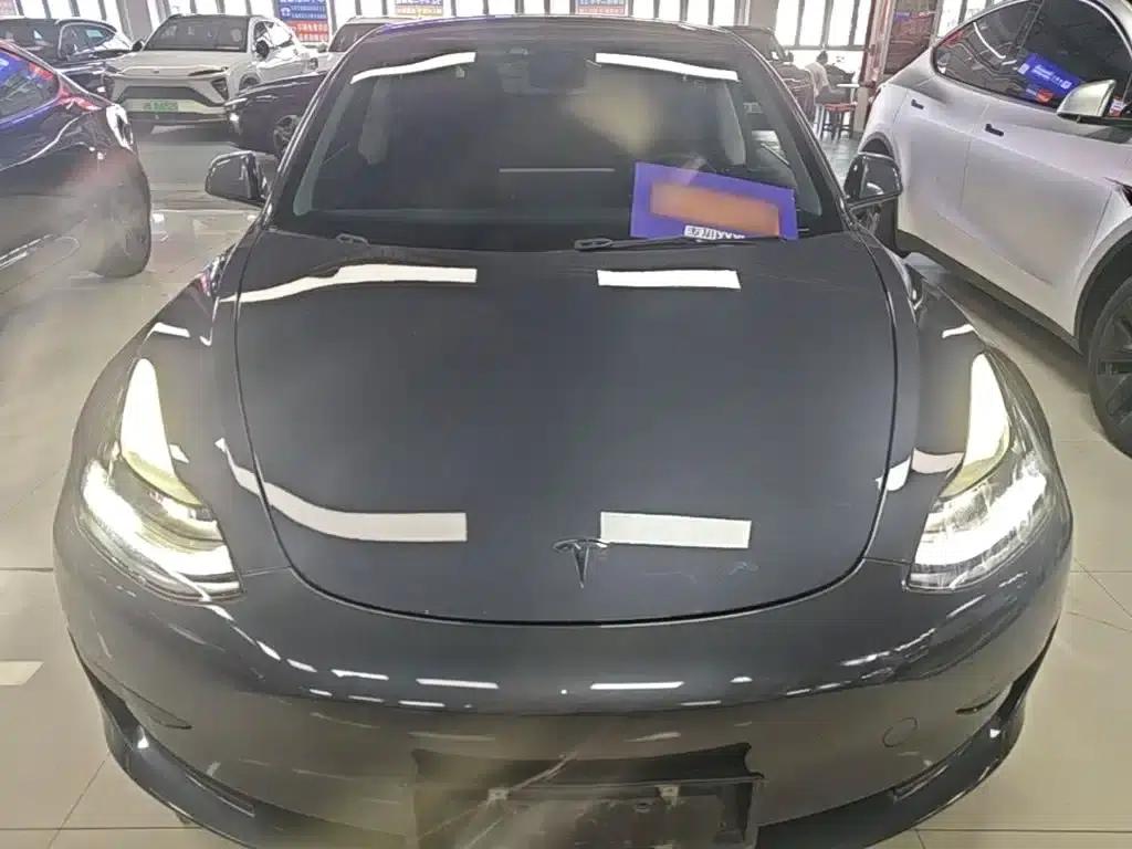 Model 3 2021 Standard Range Rear-Wheel Drive Upgrade 3D6 — миниатюра 3