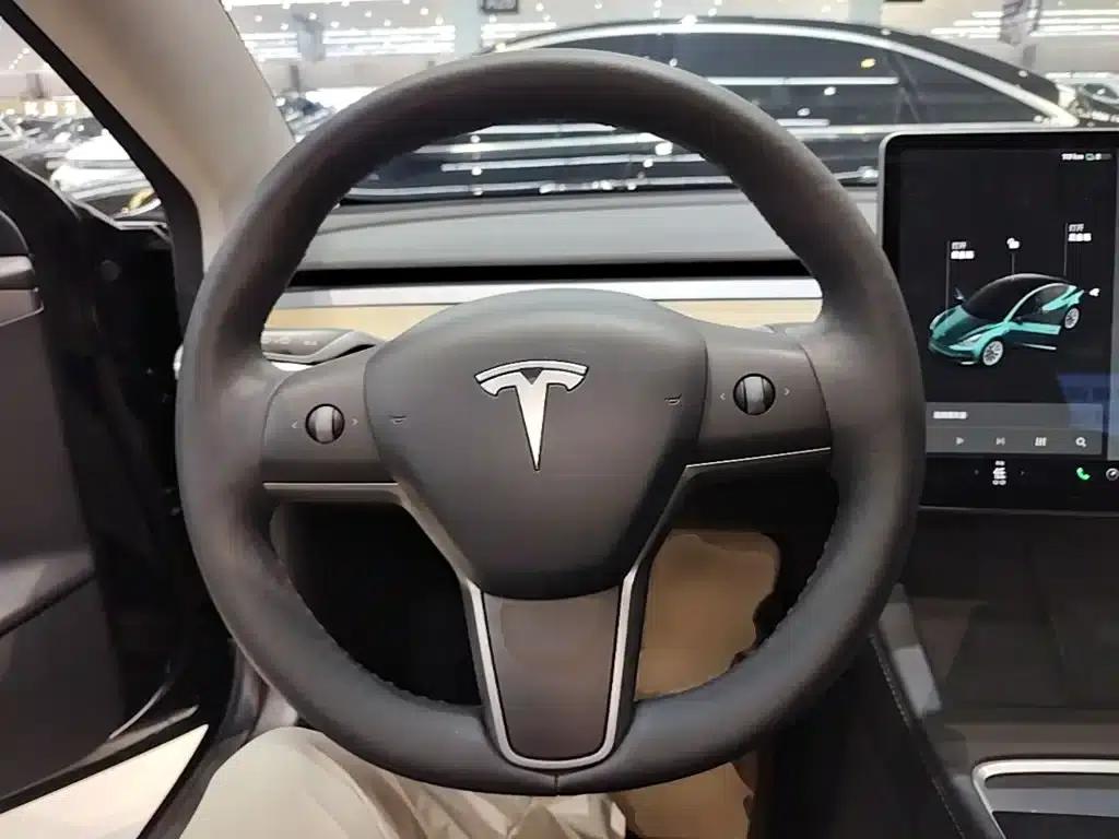 Model 3 2021 Standard Range Rear-Wheel Drive Upgrade — миниатюра 11