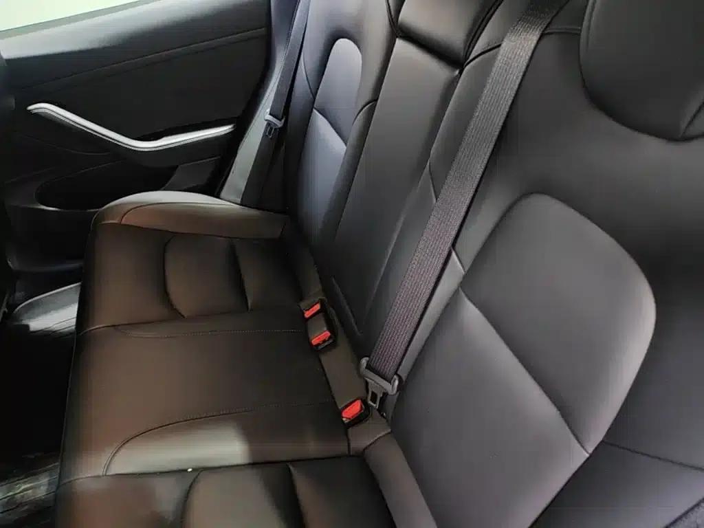 Model 3 2020 Standard Range Rear-Wheel Drive Upgrade — миниатюра 13