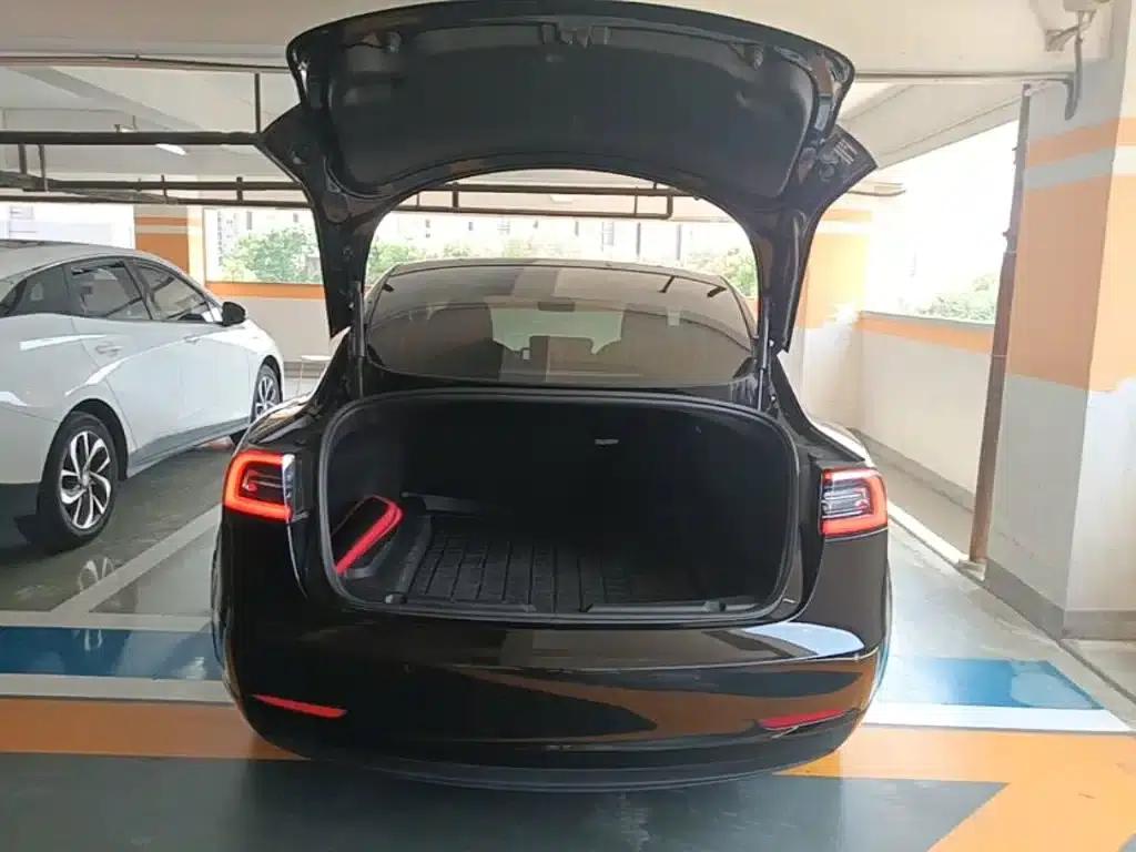 Model 3 2020 Standard Range Rear-Wheel Drive Upgrade — миниатюра 19