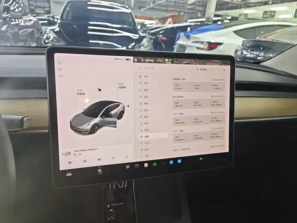 Model 3 2021 Standard Range Rear-Wheel Drive Upgrade 3D6 — миниатюра 13