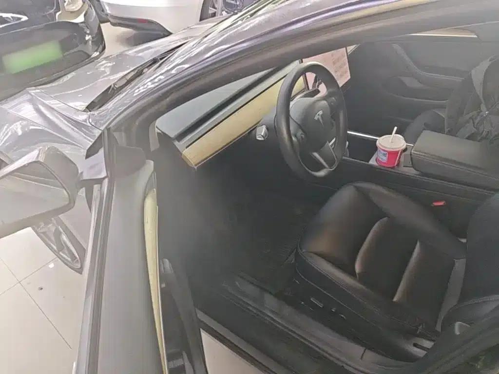 Model 3 2021 Standard Range Rear-Wheel Drive Upgrade 3D6 — миниатюра 16
