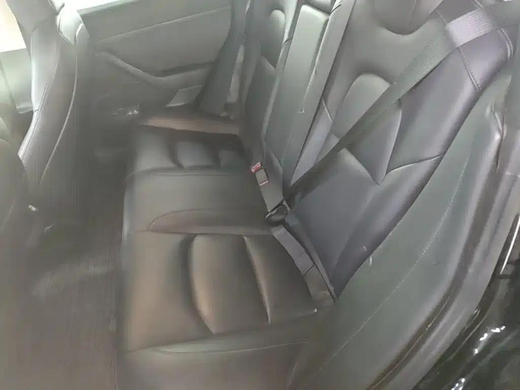 Model 3 2021 Standard Range Rear-Wheel Drive Upgrade 3D6 — миниатюра 17