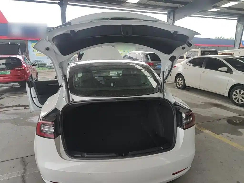 Model 3 2021 Standard Range Rear-Wheel Drive Upgrade — миниатюра 19