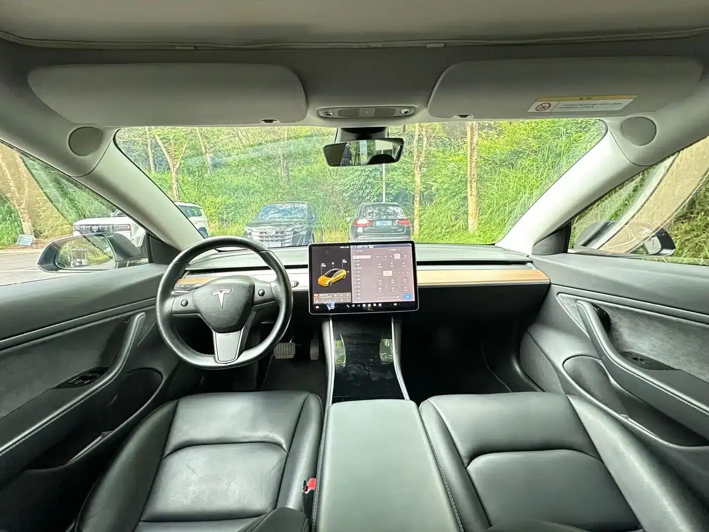 Model 3 (Imported) 2019 Long Range Rear-Wheel Drive — миниатюра 5