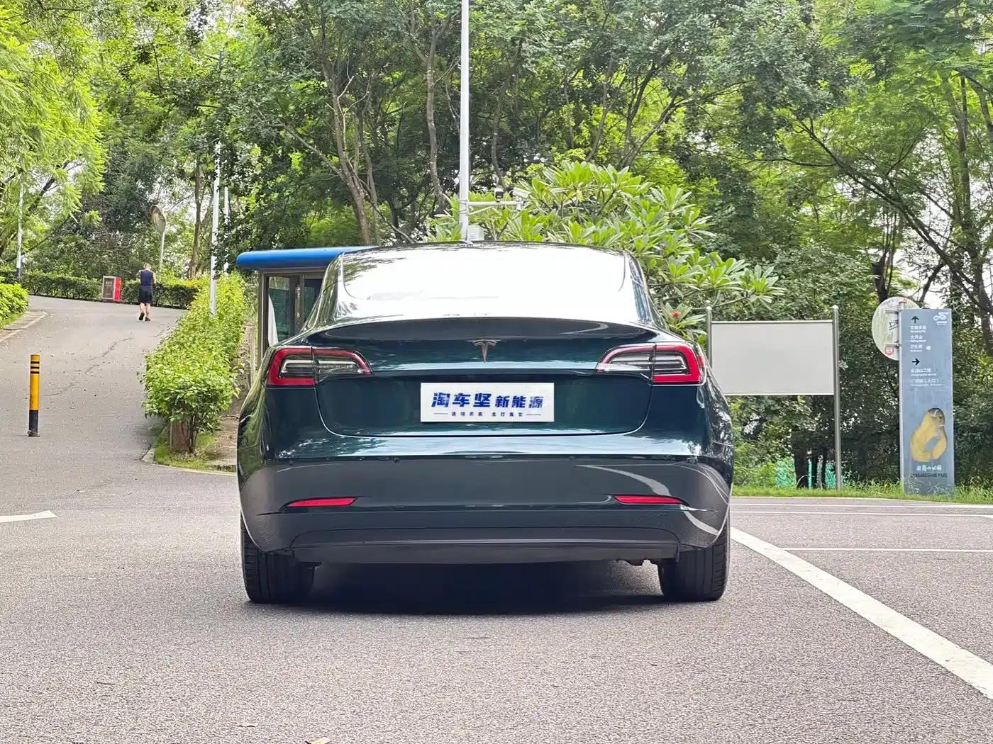 Model 3 (Imported) 2019 Long Range Rear-Wheel Drive — миниатюра 8