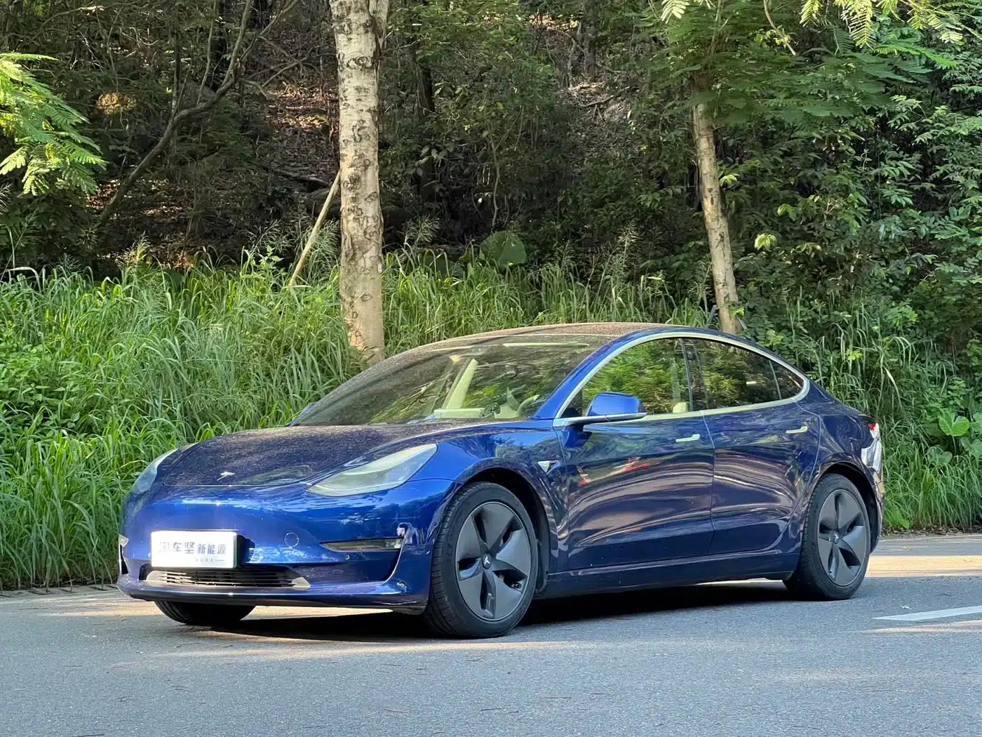 Imported 2019 Model 3 Performance All-Wheel Drive — миниатюра 1