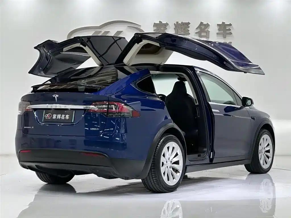 2017 Model X 100D Long Range — миниатюра 10