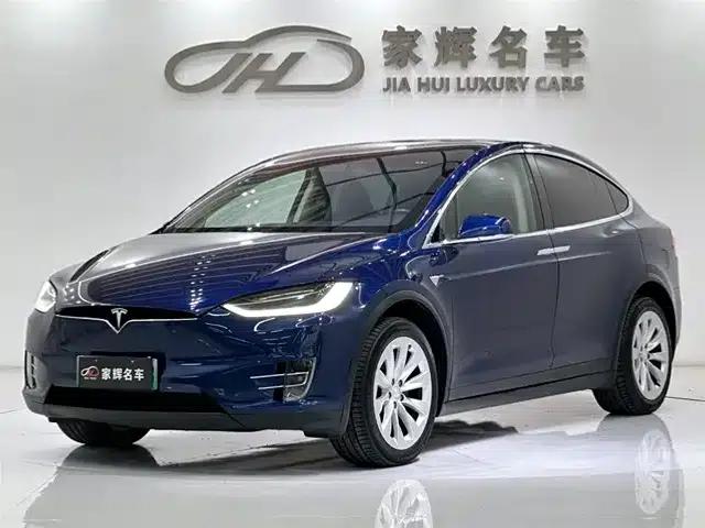2017 Model X 100D Long Range