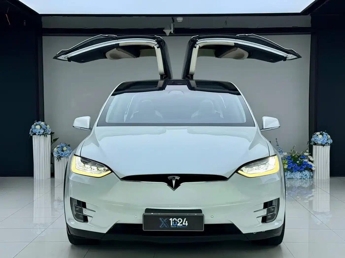 2017 Model X 100D Long Range — миниатюра 2