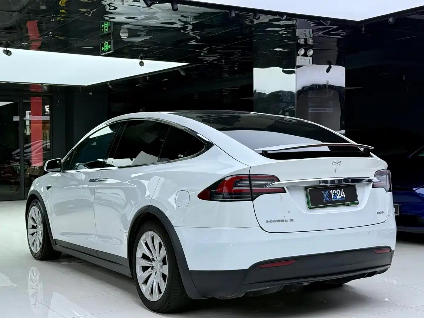 2017 Model X 100D Long Range — миниатюра 16