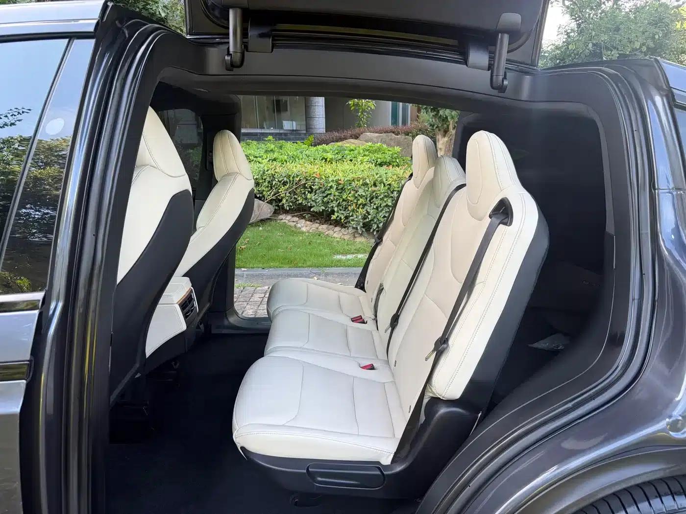 Model X 2020 Long Range Plus — миниатюра 7