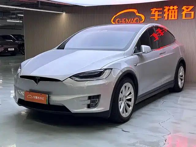 2017 Model X 100D Long Range
