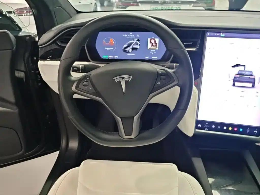 Model X 2020 Long Range Plus — миниатюра 11