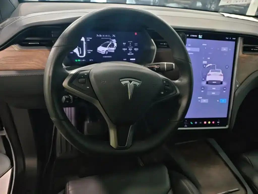 Model X 2020 Long Range Plus — миниатюра 11