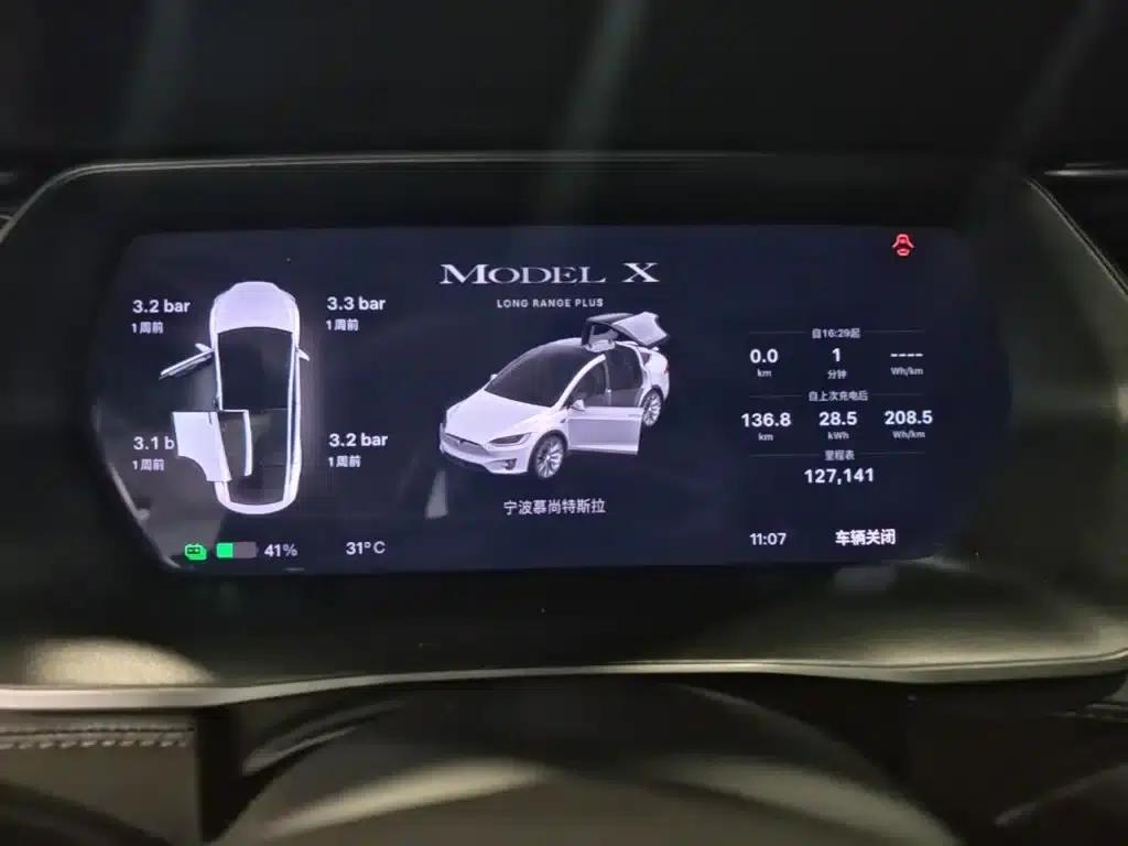 Model X 2020 Long Range Plus — миниатюра 12