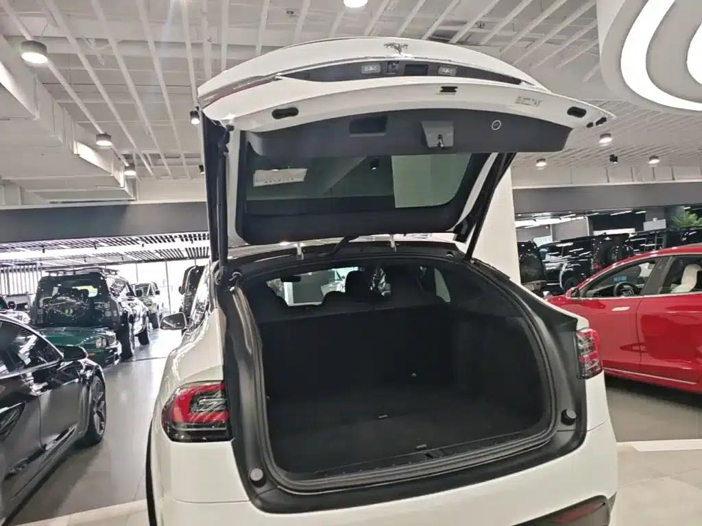 Model X 2020 Long Range Plus — миниатюра 19