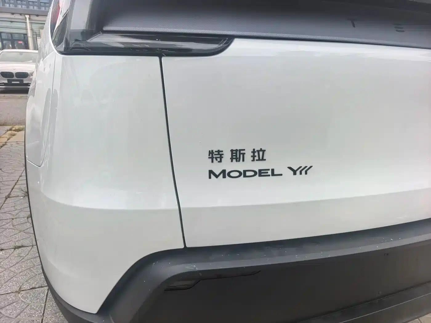 Model Y L 2025 Long Range All-Wheel Drive — миниатюра 14