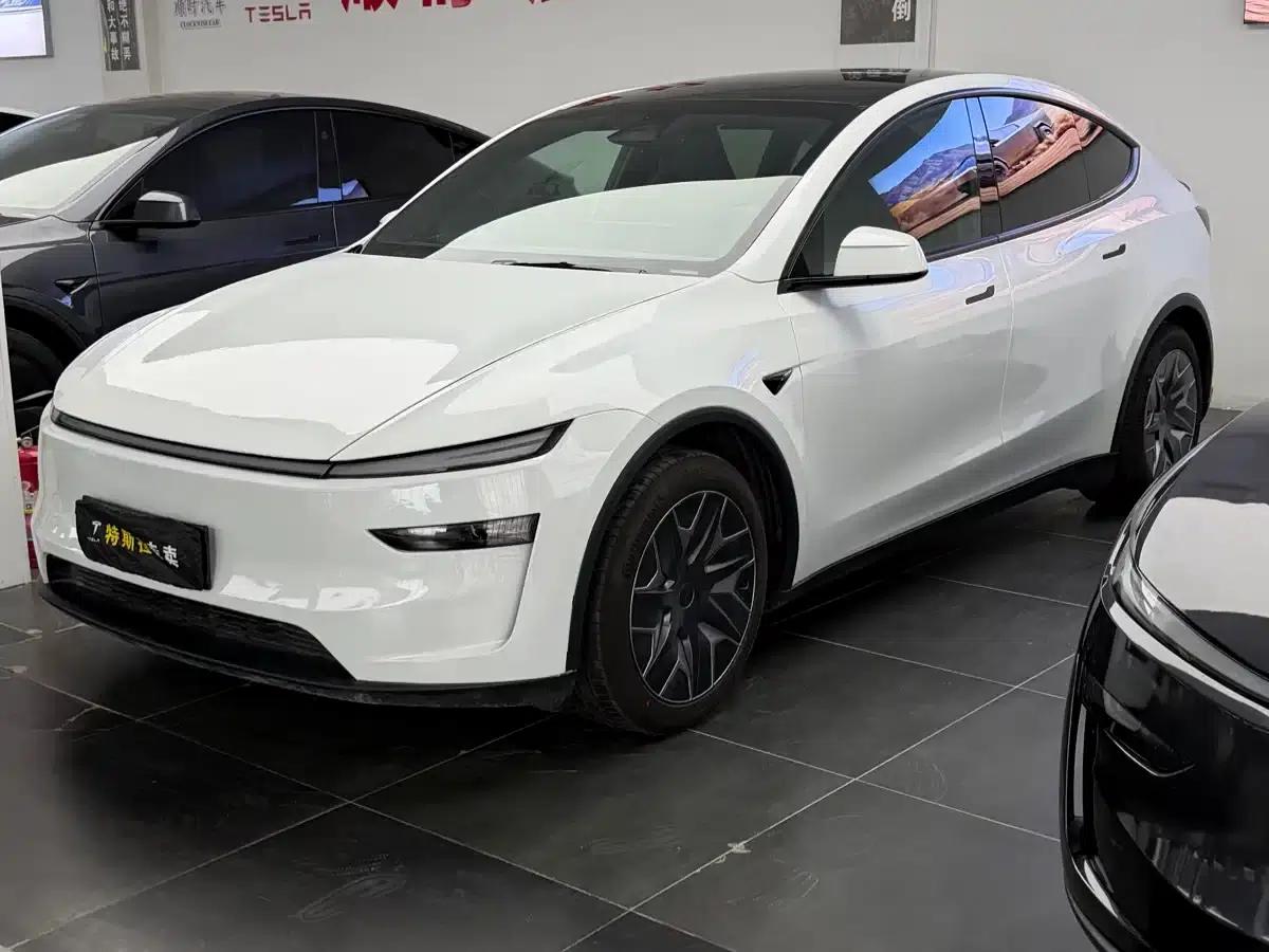 Model Y L 2025 Long Range All-Wheel Drive — миниатюра 1